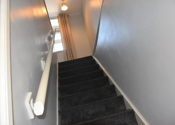 Milo's Place Is A From *