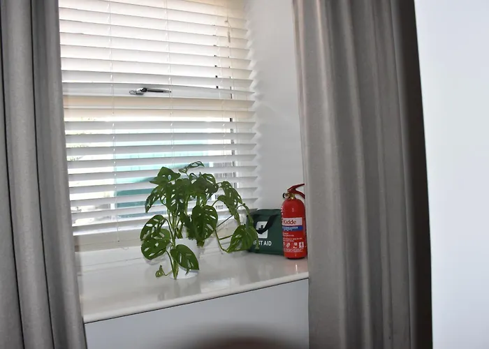 Milo's Place Is A From 아파트 *