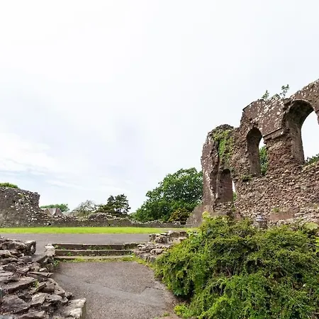 Daire Milo's Place Is A From Egremont (Cumbria)