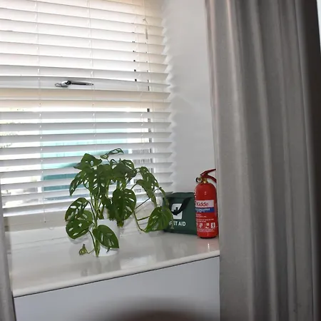 Milo's Place Is A From Lejlighed *
