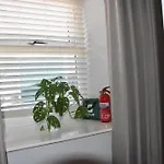 Milo's Place Is A From Apartament *